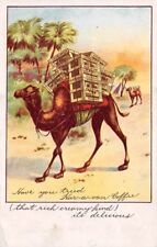 KAR-A-VAN COFFEE ADVERTISING PC, IMAGE OF CAMELS WITH LOAD OF PRODUCT c. 1903-06 picture