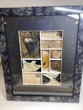 12”/9” Shadow Box: Shark Tooth, Amber,  Ammonites, Fossil Coral picture