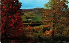 Greetings Downsville New York Forest Fall Autumn Mountains Vintage UNP Postcard picture