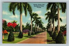 Stately Palms & Australian Pines In Florida c1951 Vintage Souvenir Postcard picture