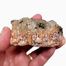 Stinking Water Plume Agate Angel Wing Rough Chunk picture