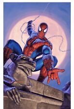Vintage Rare Marvel 1995 Spider-Man Poster 22”x34”- #193- NEW- Never Unrolled picture