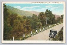 Postcard View On Roosevelt Highway Near Coudersport Pennsylvania 1934 picture