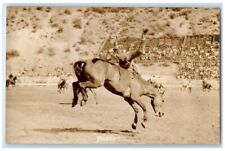 1951 Horse Bucking Cowboy Rider Rodeo Tacoma Washington WA RPPC Photo Postcard picture