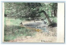 c1910's View Of North Creek Tinted Alden New York NY RPPC Photo Antique Postcard picture