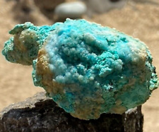 EXTREME RARITY - California Turquoise GIANT BOTRYOID picture