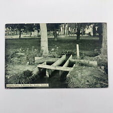 Postcard Colorado Greely CO Irrigating Division Box 1910s Unposted Divided Back picture