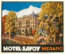 Hotel Savoy ~MERANO - ITALY~ Magnificent Old Luggage Label, c. 1940 picture