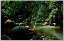 DISNEYLAND Anaheim California 1960s Postcard Elephant Pool picture
