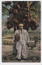 Cocoanut Tree Florida Vintage Postcard Man in White Suit Postmarked 1916 picture