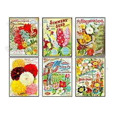 Seed Packet & Gardening Gifts, Garden Sticker Reproductions, Vintage Seed Art picture