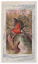 1940s Kingfisher Bird Card Successful Farming Like D18 Schulze Bread #16 Birds picture