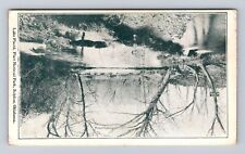 Sulphur OK-Oklahoma, Lake Placid, Platt National Park, Vintage c1909 Postcard picture