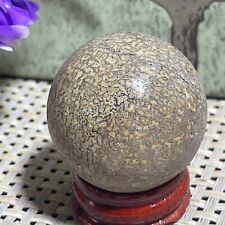 37mm NATURAL Raw Dinosaur Bone Fossil Crystal ball sphere Reiki Healing 69g AB3 picture