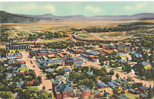 Bird's Eye View of Raton From Goat Hill, New Mexico NM-c.1947 unposted postcard picture