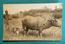 Moro Tribe Farmer Caraboa Philippines RPPC Postcard 1907-1917 picture