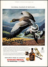 1962 Chivas Regal Grey lag goose art by C F Tunnicliffe UK British print ad XL13 picture
