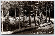 c1950s~Never Dying Redwood~Highway~Crescent City California CA~VTG RPPC Postcard picture