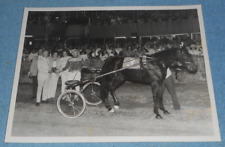 1975 Harness Racing Press Photo Horse 