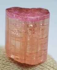 10.70 Ct Natural Terminated Tri Color Tourmaline Crystal From Afghanistan picture