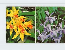 Postcard Shaw's Garden Orchids, Missouri Botanical Gardens, St. Louis, Missouri picture
