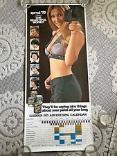SCARCE 1975 GLIDDEN PAINT CALENDAR PINUP GIRL STORE DISPLAY POSTER picture