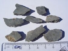 all 16.3 grams Alamo meteorite Impact Breccia from Nevada - unpolished slices picture
