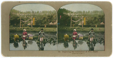c1890's Colorized Stereoview Card #59 Beginning the Cultivation of Rice, Japan picture