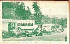 Fontana Village, NC Shopping Center & Cafeteria Vintage Postcard I726 picture