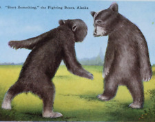 Vintage Postcard Alaska Fighting Bears 