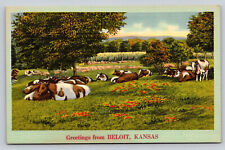 Linen Greetings From Beloit Kansas  P791 Cattle Cows Pasture picture