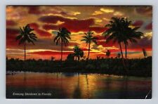 FL-Florida, Evening Shadows in Florida, Antique Vintage Souvenir Postcard picture