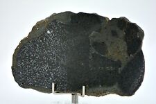 24.08g H5 Chondrite Melt Breccia Meteorite Slice I NWA 12924 - TOP METEORITE picture