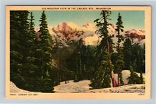 WA-Washington, Mountain Vista In Cascade Mountains Vintage Souvenir Postcard picture