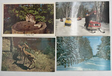 Postcard MI Snowmobile Chipmunk Deer Snow Winter Seney Michigan Lot Of 4 picture
