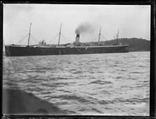 S.S. Suevic in Sydney Harbour, NSW, ca. 1930 Australia Old Photo picture