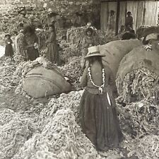 Antique 1909 Native Women Farm Alpaca Wool Peru  Stereoview Photo Card P1926 picture
