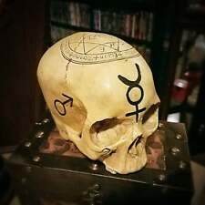 Alchemy Skull, Pentagram Skull, Real Human Skull Replica, Astrology Skull picture