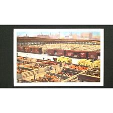 IL Postcard Union Stock Yards Livestock Chicago, Illinois Vintage Postcard picture