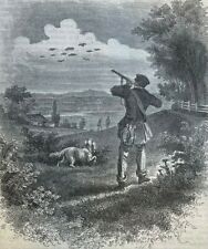 1869 Hunting the Bob White or Quail illustrated picture