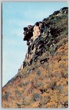 Old Man Mountains Franconia Notch New Hampshire Rock Formation VTG UNP Postcard picture