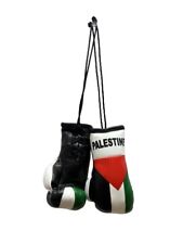 Mini Palestine Boxing Glove / Palestine Flag / Palestine Boxing Glove picture