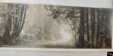 Vintage 1917 Picture  A driveway in Stanley Park Vancouver BC Canada 9x3.5 picture