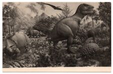 PC144 CT New Haven Yale Peabody Museum Dinosaur T-Rex Triceratops Postcard picture