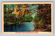 Bullsgap TN-Tennessee, Scenic General Greetings, Antique, Vintage Postcard picture