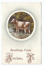 Anchor Illinois IL Postcard Greetings Cow Cattle Embossed c1910 picture