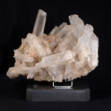 Important Table Of Crystals With Digitations 244.4oz Curiosity Mineral Gem picture