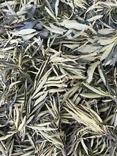 FRESH & WET California  YERBA SANTA Loose Clusters For Smudge (1LB)  picture