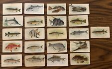 21 Different T58 American Tobacco Fish Series Tobacco Cards (ATC) picture