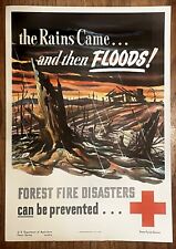 Vintage Original 1949 The Rains Came Forest Fire Prevention Poster (Smokey Bear) picture